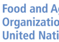 FAO launches $138m plan to avert hunger crisis in Horn of Africa