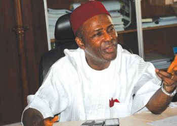 Nigeria’s economy is being diversified – Onu