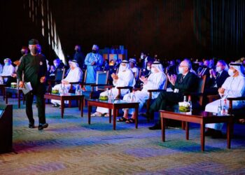 Why liquefied petroleum gas should be transition fuel in developing countries