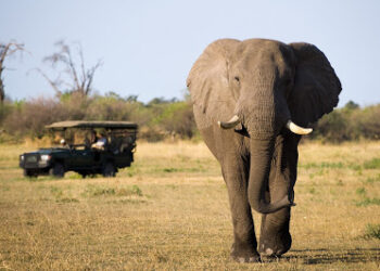 Coker solicits PPP to develop tourism