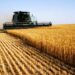 China’s agricultural wholesale products prices continue to drop