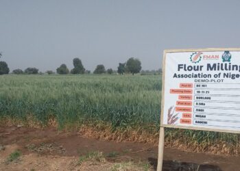 FMAN, CBN support 150,000 wheat farmers in 15 states