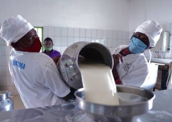 Islamic bank moves to establish 200 milk collection centres in Kano