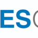 NESG calls for critical reforms to accelerate economic growth