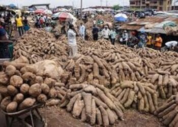 IITA hands over 6,952.2kg seed yam to GoSeed
