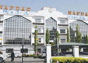 NAFDAC prevents dangerous Ponmo  from circulation