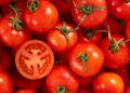 Nigeria not major tomato exporter