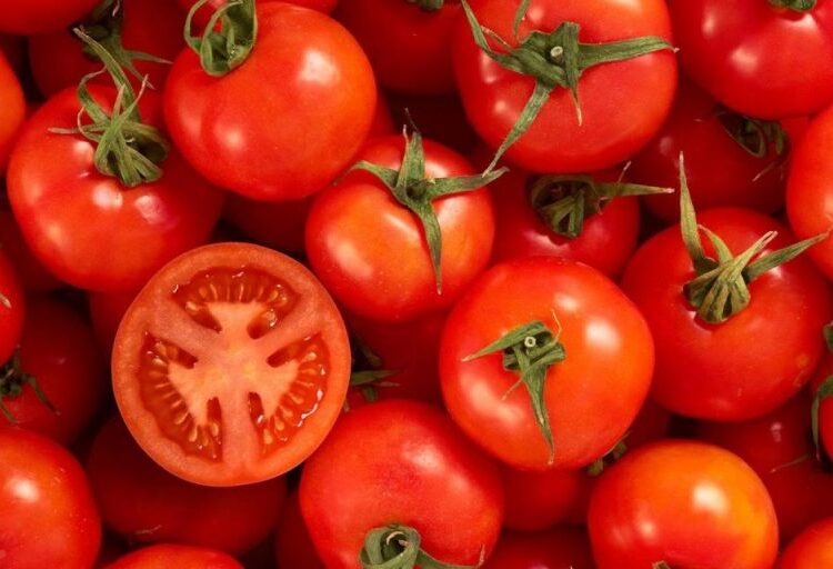Nigeria not major tomato exporter