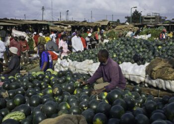 Food shortage: Nigeria bans foreigners from direct purchase of produce from farmers