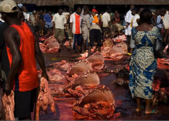 NANTS targets July to complete its abattoir in Gwagwalada