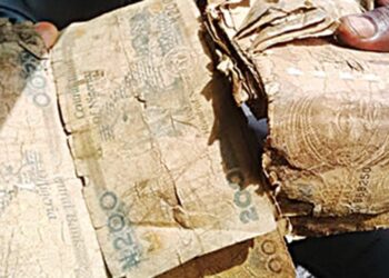 CBN’s position on ‘composed’ banknotes