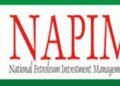 NAPIMS unveils e-MMS platform, gets business certification