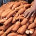 Farmers, AKILIMO poise to boost cassava production