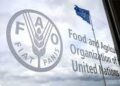FAO sensitises farmers on safety standards in food production, processing