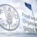 FAO sensitises farmers on safety standards in food production, processing