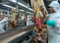 Yobe state,  Egyptian firm in deal to establish meat processing factory