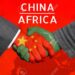 Chinese company to partner African countries to advance technologies
