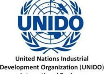 UNIDO pledges to support Nigeria accelerate industrialisation process