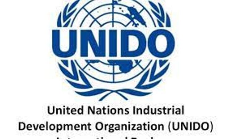 UNIDO pledges to support Nigeria accelerate industrialisation process