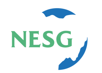 Nigeria’s fiscal pressure implodes economy – NESG