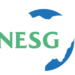 Nigeria’s fiscal pressure implodes economy – NESG
