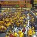 AFEX predicts decline in production of sorghum, others in 2023
