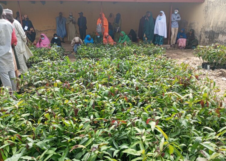 Residents get training on on improved Mango planting