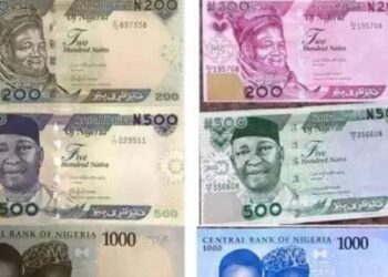 New Naira notes unavailable even as CBN campaigns for acceptance