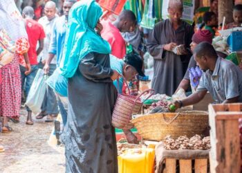 Tanzania blames its trading partners for underperformance