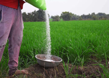 Farmers beg for sustenance of subsidy in fertiliser