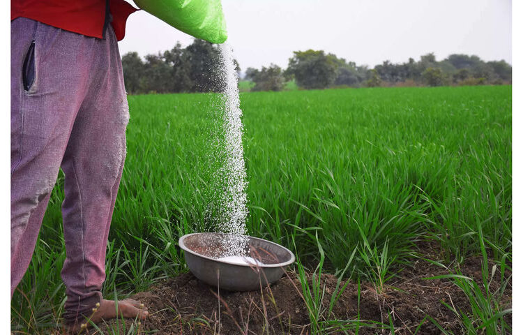 Farmers beg for sustenance of subsidy in fertiliser