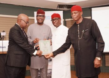 Delta economic zone gets official licence