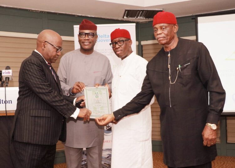 Delta economic zone gets official licence