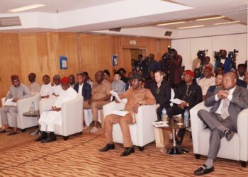 NEPZA to ensure $22bn investments in Delta