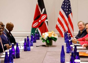 UNGA 2023: Ruto, Kagame target US businesses, Council reforms