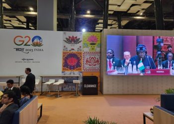 Nigeria commits to shaping equitable world through G-20