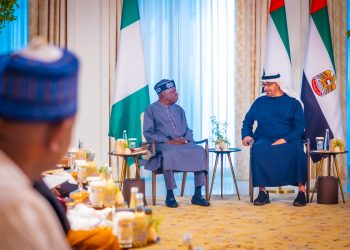 UAE lifts visa ban on Nigerians, Etihad, Emirates to start operations