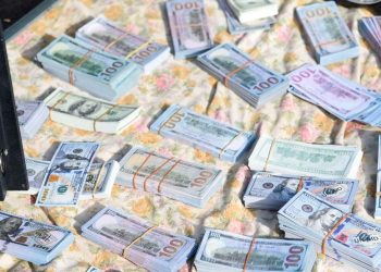 Bank of Tanzania warns against fake dollars