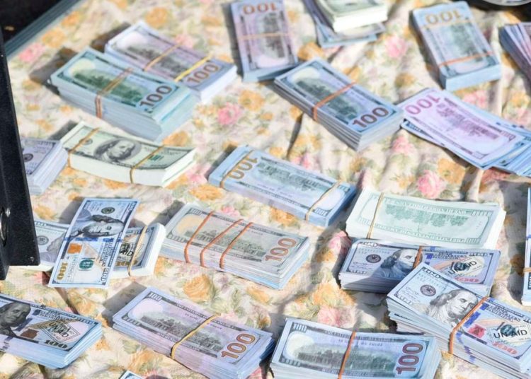 Bank of Tanzania warns against fake dollars