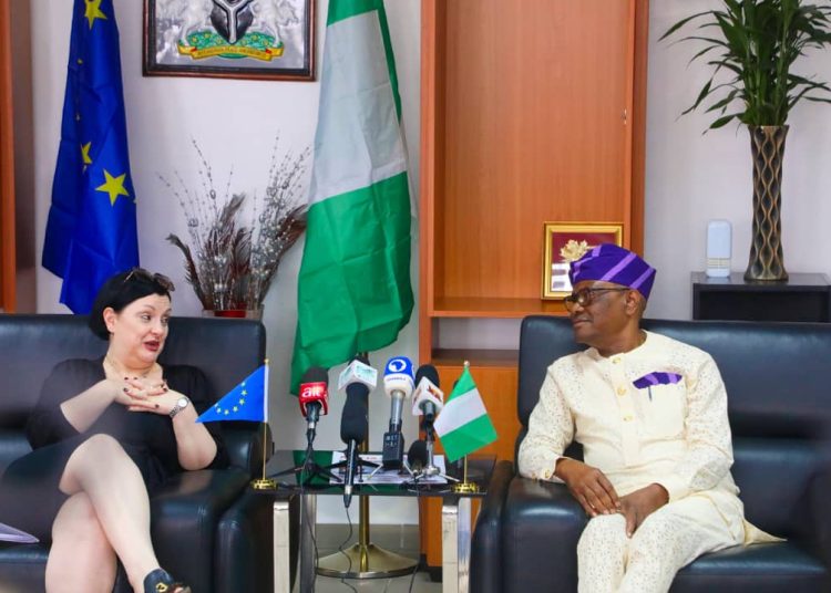 Wike seeks EU’s support to strengthen FCT’s economy