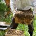 RMRDC’s beekeeping policy gear takes new turn