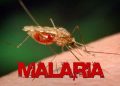 Nigeria gets £1bn from UK to fight malaria
