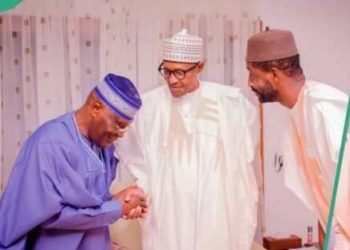 Do Not Be Distracted by Atiku’s Visit to Daura, TDF Tells Tinubu
