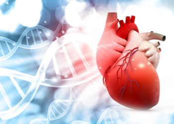 Scientists identify anti-ageing gene