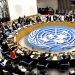 Nigeria’s push for a permanent seat in the UN Security Council commendable