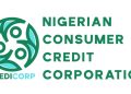 Consumer Credit Scheme, a historic initiative, rates Tinubu high among predecessors