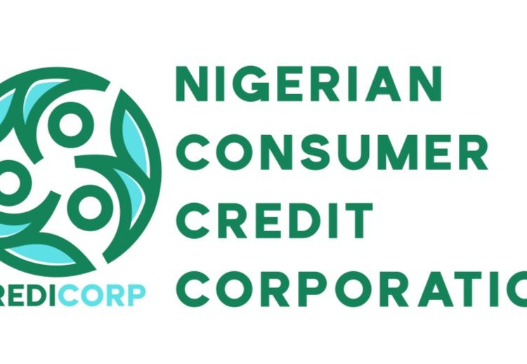 Consumer Credit Scheme, a historic initiative, rates Tinubu high among predecessors