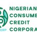 Consumer Credit Scheme, a historic initiative, rates Tinubu high among predecessors