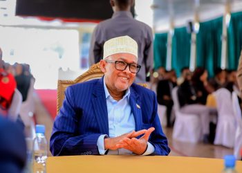 UAE President’s impending visit, proof the world is shifting attention to Nigeria – TMV